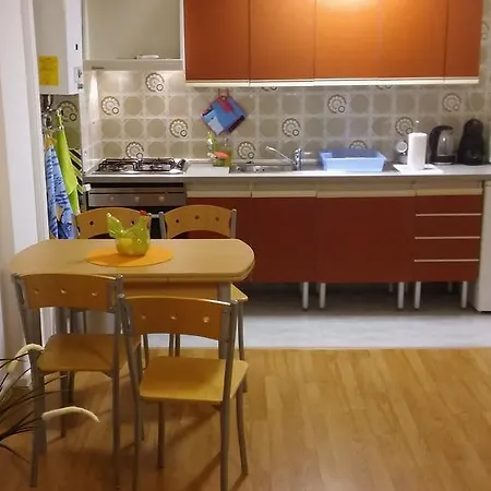 Zen Newton リスボン